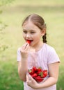 Portrait of Happy cute little girl is eating strawberries at summer day. Soft focused. Vertical Royalty Free Stock Photo