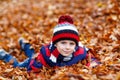 Portrait of happy cute little kid boy with autumn leaves background in colorful clothing. Funny child having fun in fall Royalty Free Stock Photo
