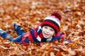 Portrait of happy cute little kid boy with autumn leaves background in colorful clothing. Funny child having fun in fall Royalty Free Stock Photo