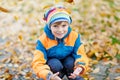 Happy cute little kid boy with autumn leaves playing in garden Royalty Free Stock Photo