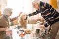 Happy Senior Couple with Pet Royalty Free Stock Photo