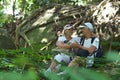 Happy elderly couple resting in tropical garden outdoors Royalty Free Stock Photo