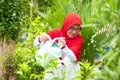 Happy elderly woman watering flower in garden Royalty Free Stock Photo