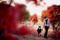 Portrait of happy family, autumn park outdoors Royalty Free Stock Photo