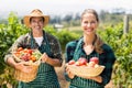 Portrait of happy farmer couple holding baskets of vegetables and fruits Royalty Free Stock Photo