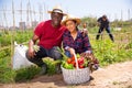 Portrait of happy farmers with basket of ripe vegetables on the field