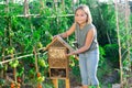 Portrait of happy girl next to hotel for insects in of wooden birdhouse in garden