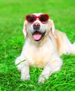 Portrait happy Golden Retriever dog in a sunglasses is lying on grass summer Royalty Free Stock Photo