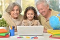 Grandparents and little girl using laptop