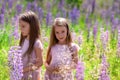 Portrait of happy identical twin sisters with long hair showing different emotions in beautiful dresses at sunny nature in grass