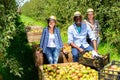 Portrait of happy international team of farmers near boxes with harvested ripe pears in fruit garden on sunny day