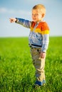 Portrait of happy joyful beautiful little boy outdoor at countryside. Pointing concept.