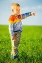 Portrait of happy joyful beautiful little boy outdoor at countryside. Pointing concept.