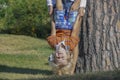 Portrait of happy kid playing upside down