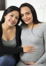 Portrait of happy lesbian couple Royalty Free Stock Photo