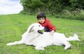 Portrait of Happy little boy playing with his dog in the park, Cheerful Child stroking his dog with love and smiling face, Kid Royalty Free Stock Photo