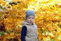 Happy little boy is standing in cap surrounded by fallen leaves.