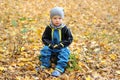 Portrait of happy little boy sitting on stump