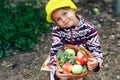 Little girl with fresh apples on the plot