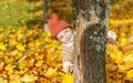 Little girl looking at camera while hiding behind tree trunk in autumn park. Royalty Free Stock Photo