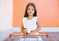 Portrait happy little girl in shopping cart with tasty ice cream Royalty Free Stock Photo