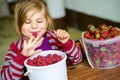 Portrait of happy little preschool girl eating healthy strawberries and raspberries. Smiling child with ripe berries Royalty Free Stock Photo