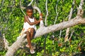 Portrait of happy malagasy girl Royalty Free Stock Photo