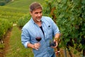 Portrait of happy man in vineyard with glass of wine Royalty Free Stock Photo