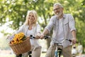 Portrait Of Happy Mature Couple Riding Retro Bicycles In Summer Park Royalty Free Stock Photo