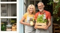 Portrait Of Happy Mature Gardeners Couple Holding Flowers And Crate With Plants Royalty Free Stock Photo