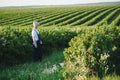 Portrait happy mature older man is smiling. Old senior farmer with white beard. Elderly man standing and looking at camera at Royalty Free Stock Photo