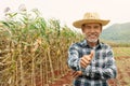 Portrait happy mature older man is smiling. Old senior farmer with white beard thumb up feeling confident. Royalty Free Stock Photo