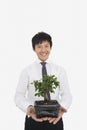 Portrait of happy mid adult businessman holding potted plant over white background Royalty Free Stock Photo