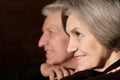 Portrait of a happy middle-aged couple Royalty Free Stock Photo