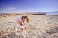 Beautiful top view of young mother playing with daughter with white hat at the sea background. Family vacation. Travel. Female Royalty Free Stock Photo