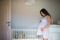 Portrait of happy pregnant woman indoors at home, touching her belly. Royalty Free Stock Photo