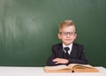 Portrait of a happy schoolboy with book near empty green chalkboard Royalty Free Stock Photo