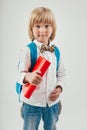 Portrait of happy schoolboy with books and apple isolated on white background. Education, isolated. Royalty Free Stock Photo