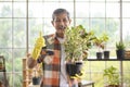 Portrait of happy senior asian retired man holding a plant in garden at home Royalty Free Stock Photo