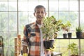 Portrait of happy senior asian retired man holding a plant in garden at home Royalty Free Stock Photo