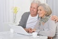 Portrait of happy senior bookkeepers working with laptop