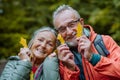 Portrait of happy senior couple with autumn leaves in forest. Royalty Free Stock Photo