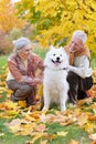 Portrait of happy senior couple in autumn park with dog Royalty Free Stock Photo