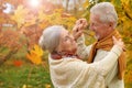 Portrait of a happy senior couple in autumn park Royalty Free Stock Photo