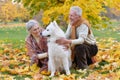 Portrait of happy Senior couple in autumn park Royalty Free Stock Photo