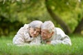 Portrait of a happy senior couple in autumn park Royalty Free Stock Photo