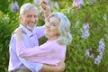 Portrait of happy senior couple dancing in park Royalty Free Stock Photo