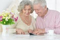 Portrait of happy senior couple drinking tea Royalty Free Stock Photo