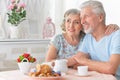 Portrait of happy Senior couple drinking tea Royalty Free Stock Photo