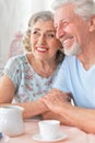 Portrait of happy Senior couple drinking tea Royalty Free Stock Photo